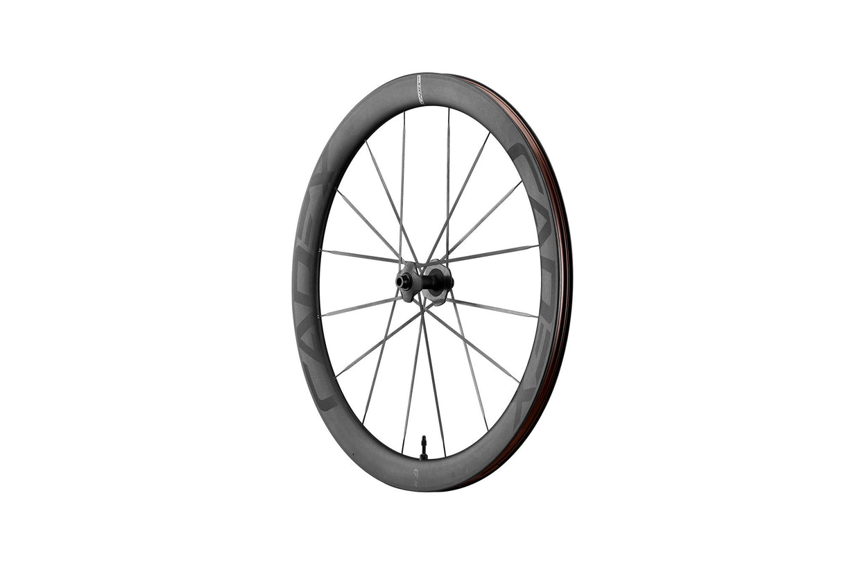 Vorderrad MAX 50 Tubeless Disc, 12 x 100 mm