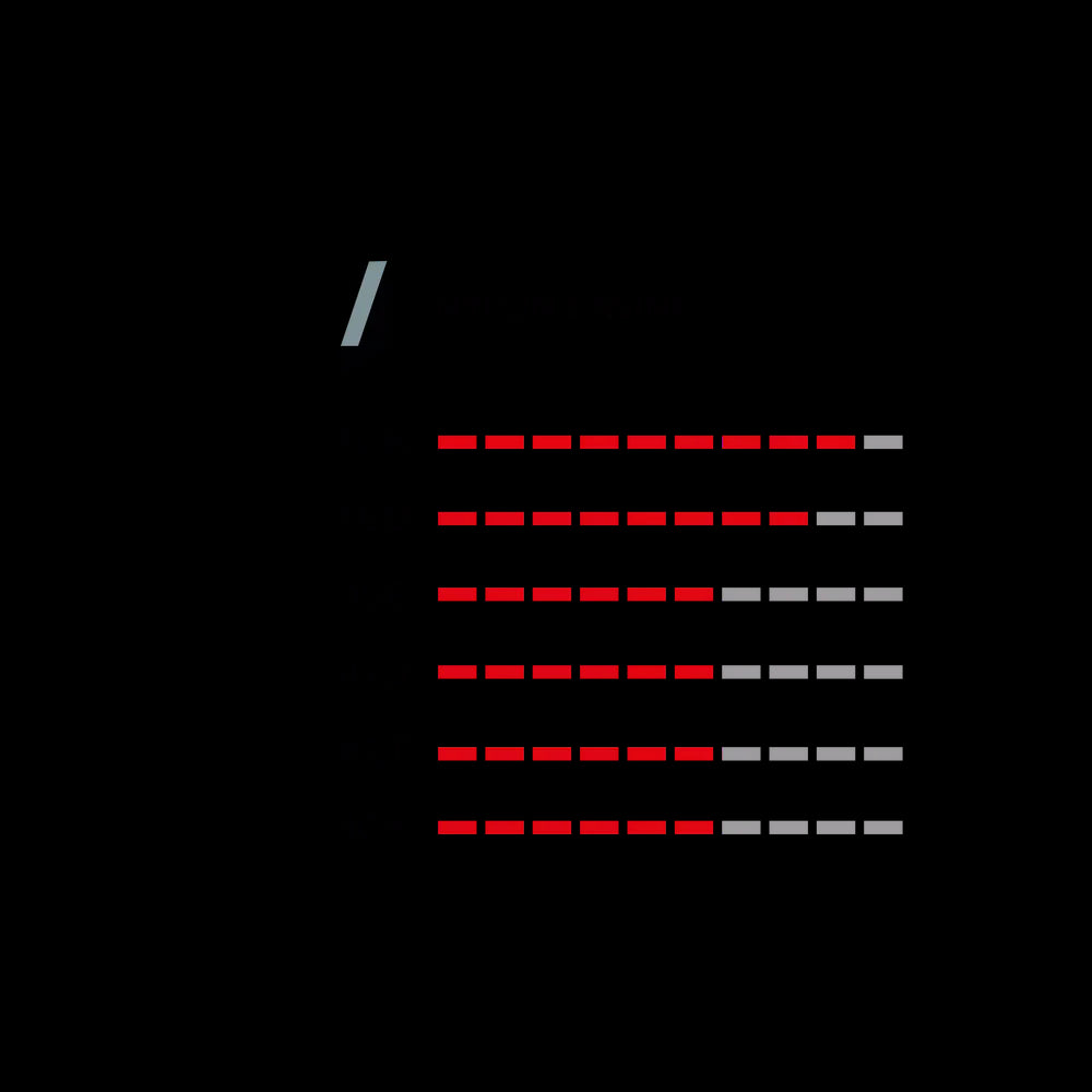 Saguaro XC 29" Faltreifen TLR - schwarz