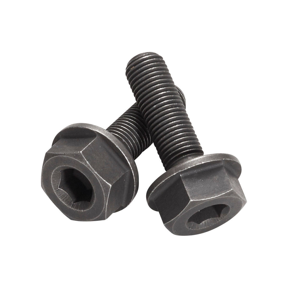 Schrauben für Base Singlespeed Nabe