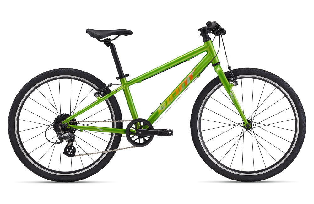 ARX 24 - metallic green