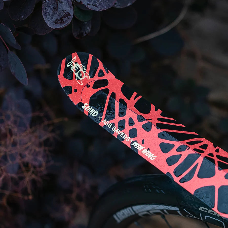 WRS-2 Win Wing Road - Squid