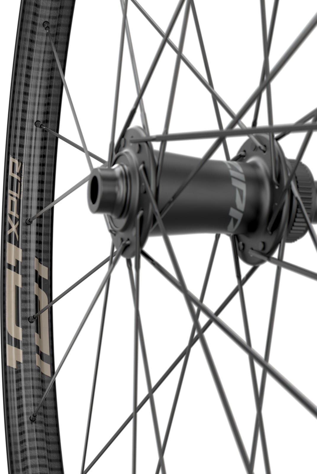 Vorderrad 101 XPLR DISC Centerlock, TLR - Dekore sand Zipp