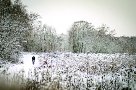 Fahrrad durch den Winter