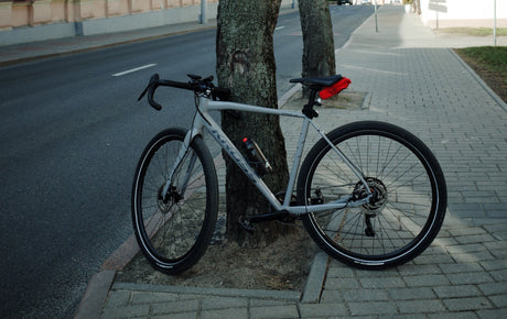 Gravel Bike (optimal für Einsteiger) an einem Baum lehnend