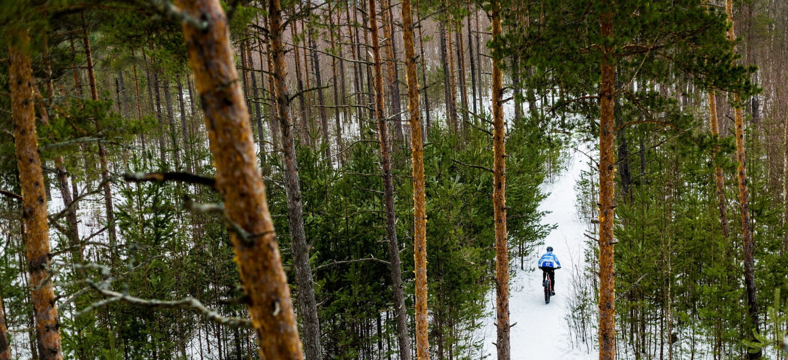 Radfahrer im Winter im Wald, warm gekleidet