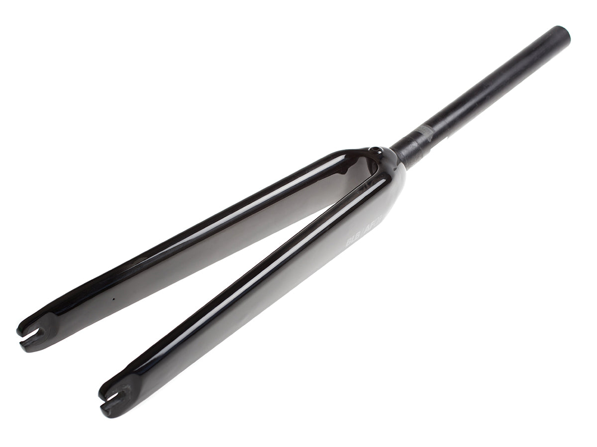 AF01 Carbon Gabel