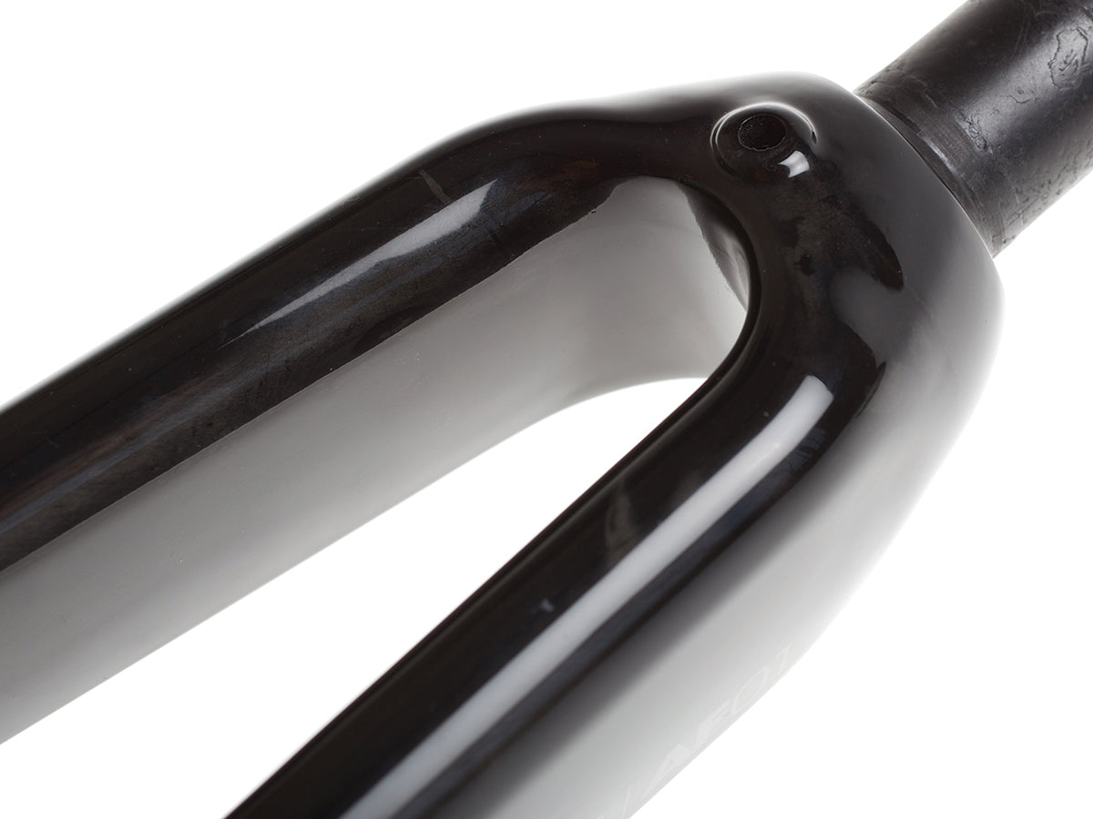 AF01 Carbon Gabel