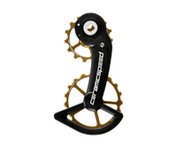 OSPW für SRAM RIVAL AXS - Gold