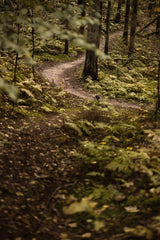 BB ALPHA für T47/73 Shimano MTB
