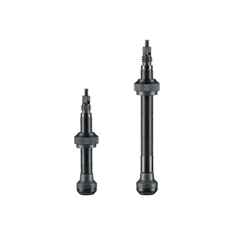 Tubeless Ventile - 2 Stück