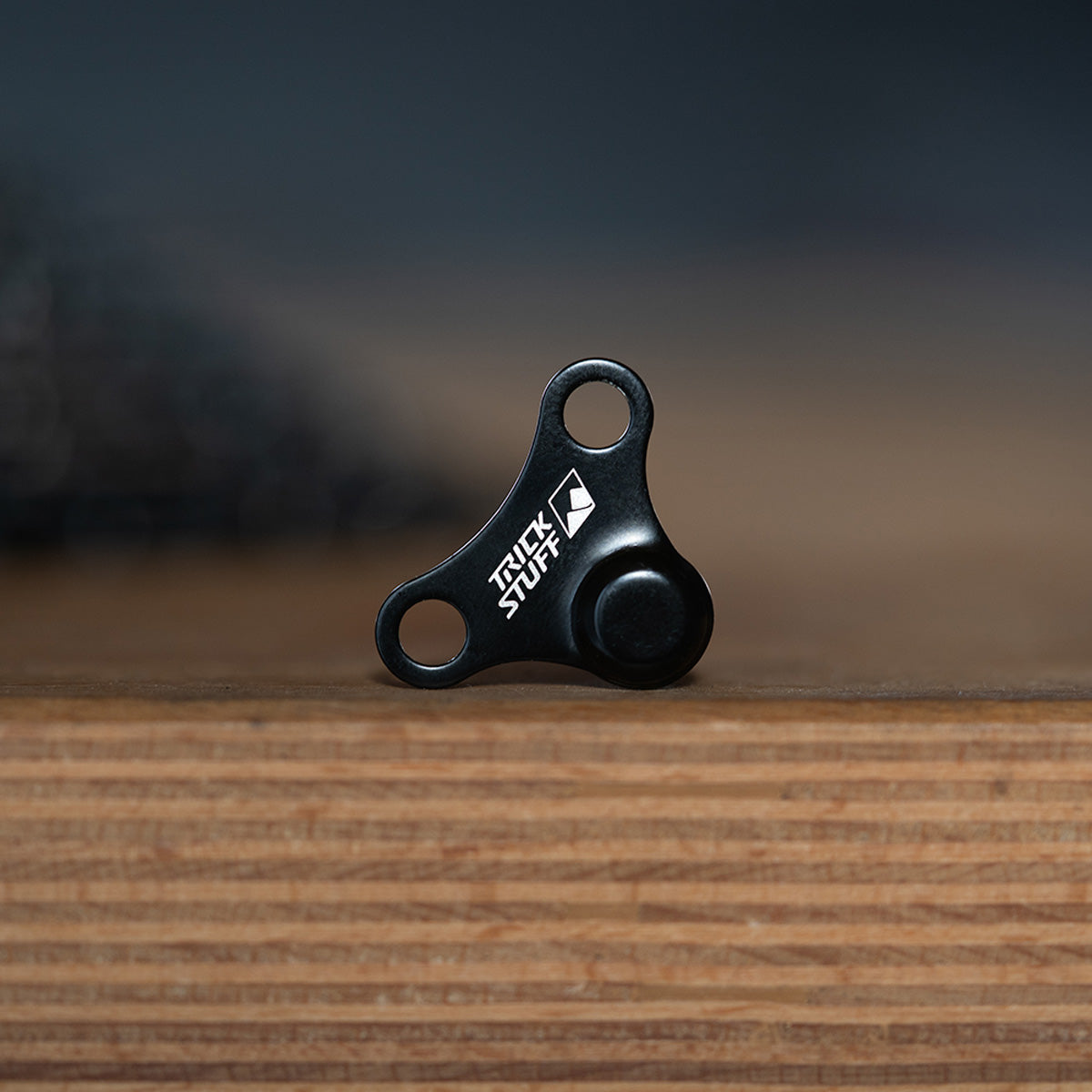 E-Bike Magnet