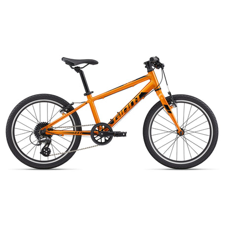 ARX 20 Metallic Orange