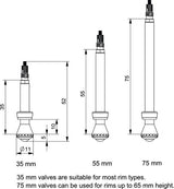 Valve Pack Tubeless Ventile - 2 Stück