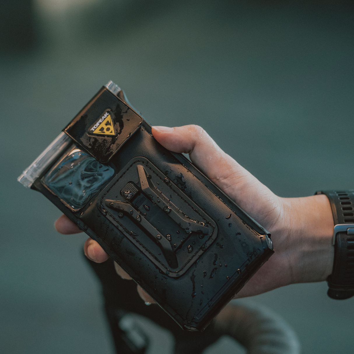 Phone DryBag L