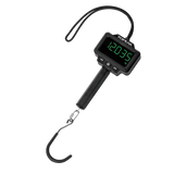 Bike Scale Team Issue