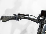 Allant+ 6 Lowstep Galactic Grey 400Wh