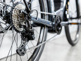 Allant+ 6 Lowstep Galactic Grey 400Wh