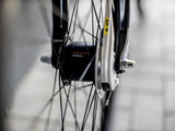 District 2 EQ Lowstep Lithium Grey