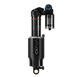 Vivid Ultimate RC2T D1, Trunnion/Standard - 185 mm