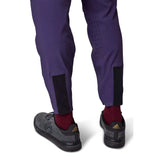 Defend Pant - sangria