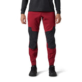 Defend Pant Aurora - Bordeaux