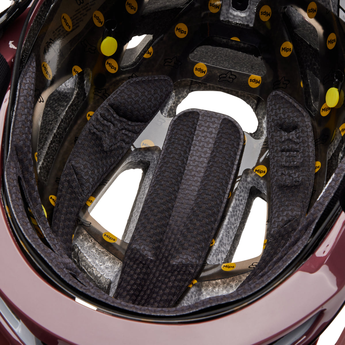 Speedframe Pro Blocked, CE - Cordovan