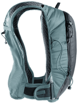 Rogla 5 - graphite-shale