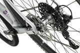 Ruut CF2 Gravelbike - Silver/Purple