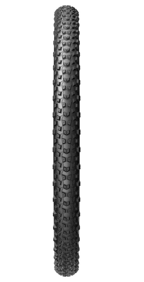 Scorpion Trail M Pro Wall Colour Edition