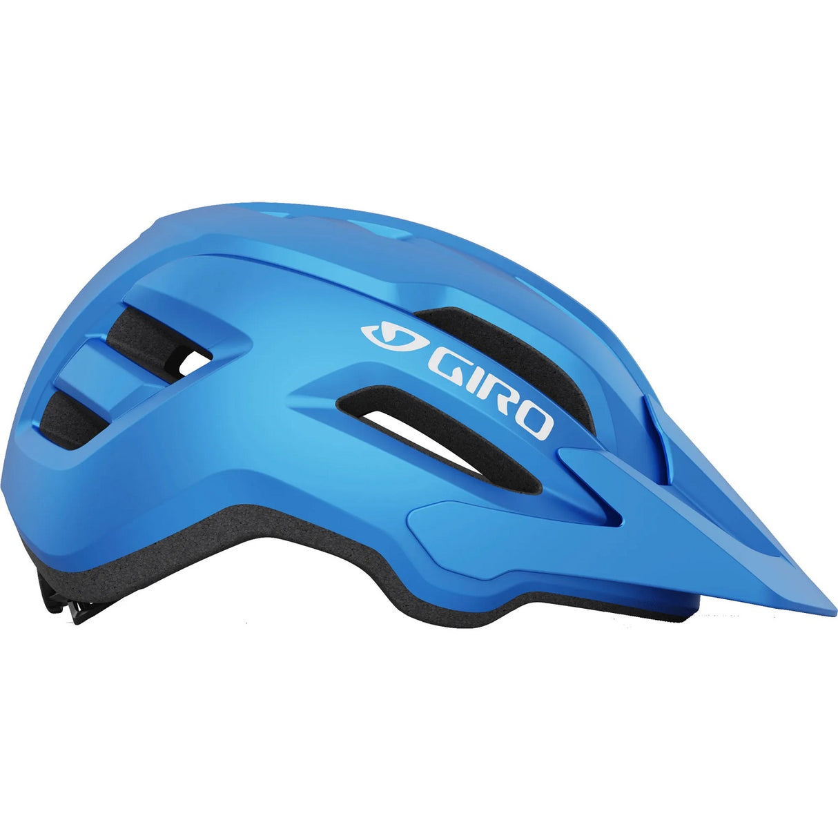 Fixture II Y - matte black/blue