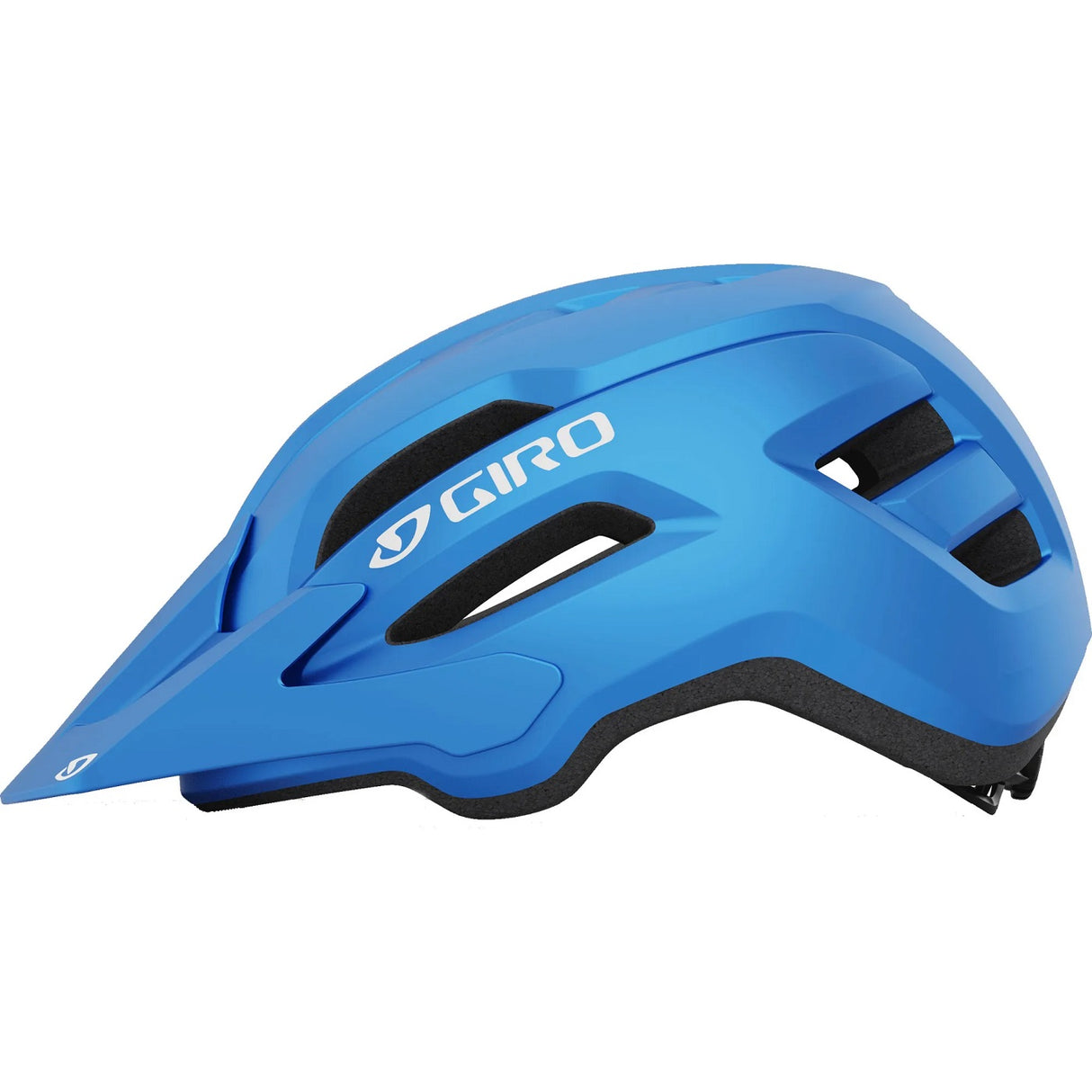 Fixture II Y - matte black/blue