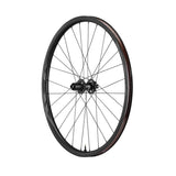 XCR 2 MTB Carbon 29 - Hinterrad