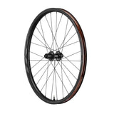 TRX 2 MTB Carbon 29 - Hinterrad