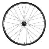 TRX 2 MTB Carbon 29 - Hinterrad