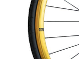 Deep Section Singlespeed Fixed Gear Laufradsatz - 30 mm Felgen - gold