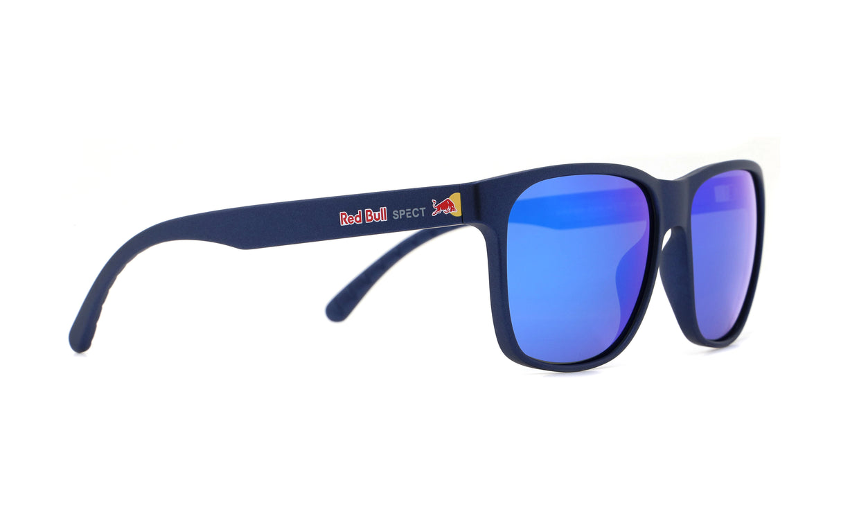 Sonnenbrille EARLE-005P