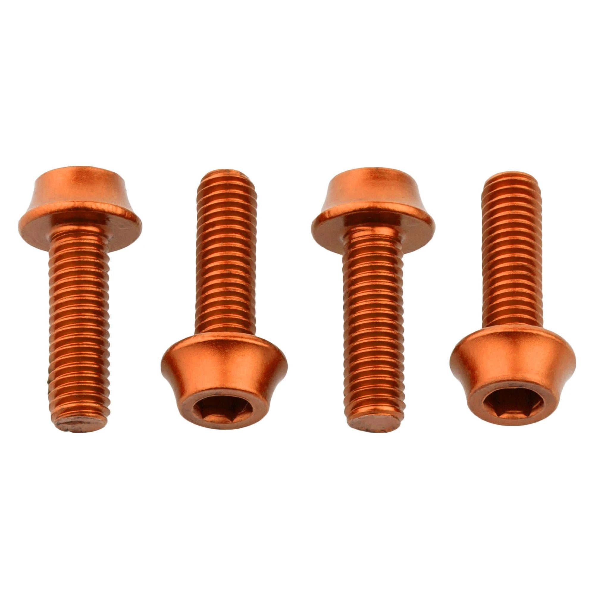 2 Stück M5 X 14 Mm Flaschenhalterschrauben Aus Titan | Für Mountainbike & Fahrrad | Leicht & Hochfest