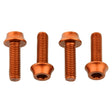 Flaschenhalter Aluminiumschrauben - M5 x 15 mm - orange