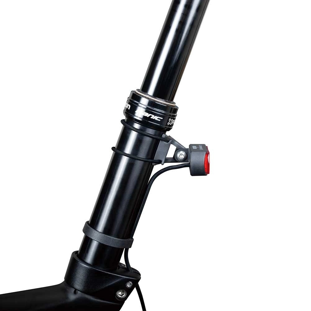 Rear light mount for seatstay/seatpost mounting