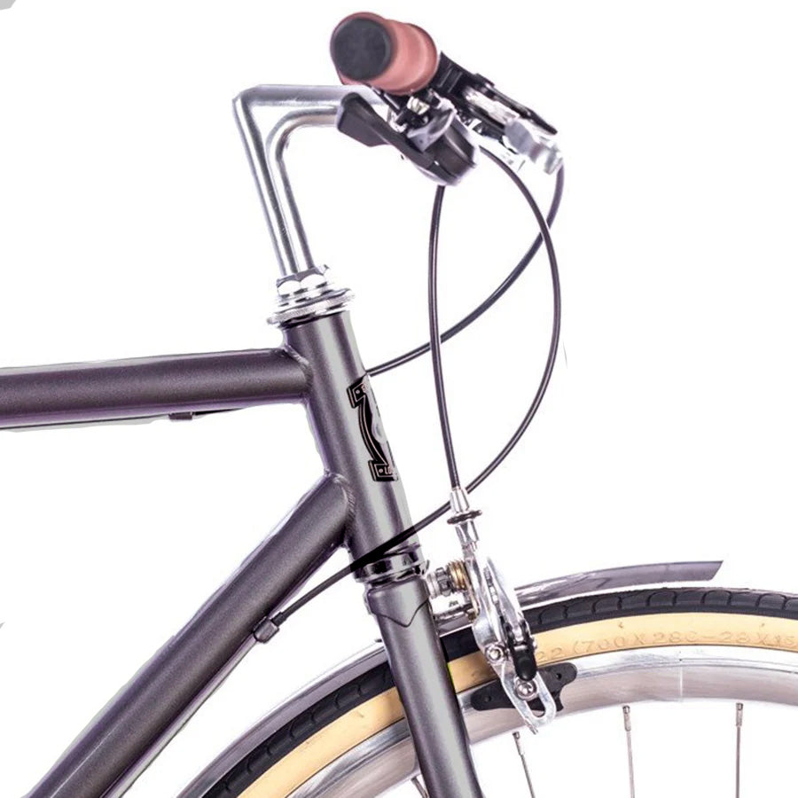 6KU Citybike Odyssey 8SP City Bike - brandford silver 54 cm