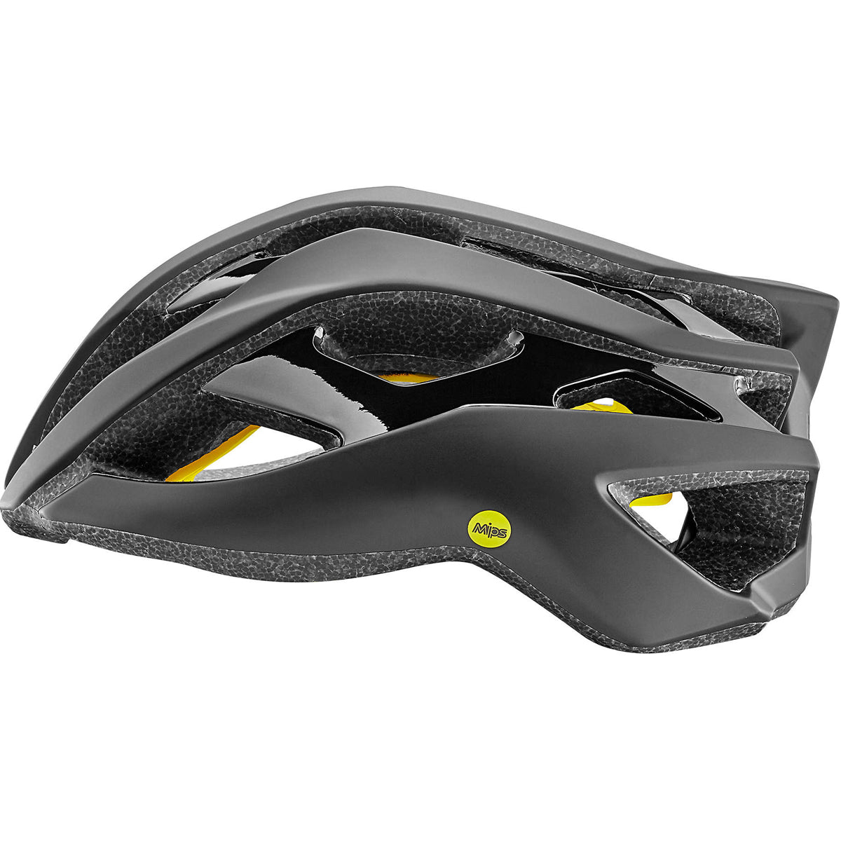 Rev MIPS Helm - Schwarz matt/Schwarz glänzend