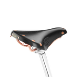 B17 Special Short - black