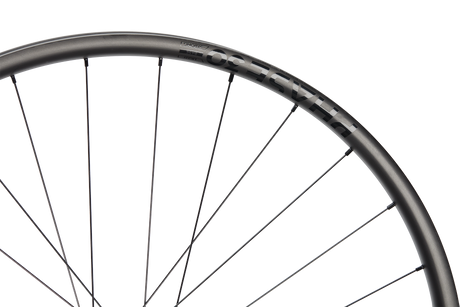 Phase 30 XC Light 29" Carbon, 6 Loch, 12x148 mm, Shimano HG - schwarz
