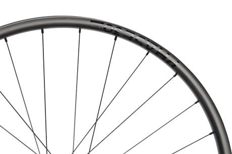 Phase 30 Enduro Strong 29" Carbon, 6 Loch, 12x148 mm, Shimano HG - schwarz