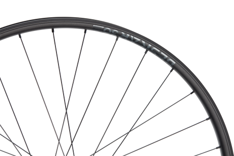 Beskar 30 DH Strong 29" Aluminium, 6 Loch, 12x157 mm, Sram XD - schwarz