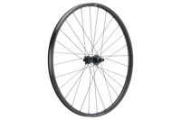 Forge 30 XC Light 29