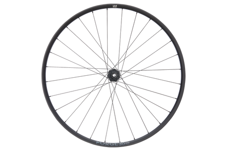 Forge 30 XC Light 29" Aluminium, 6 Loch, 12x148 mm, Sram XD - schwarz