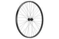 Forge 30 DH Strong 29