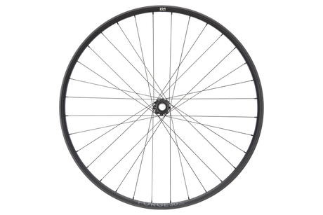 Forge 30 DH Strong 29" Aluminium, 6 Loch, 15/20x110 mm - schwarz