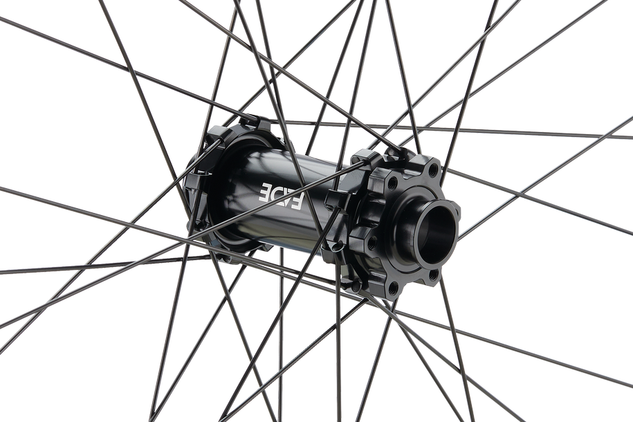 Forge 30 DH Strong 29" Aluminium, 6 Loch, 15/20x110 mm - schwarz